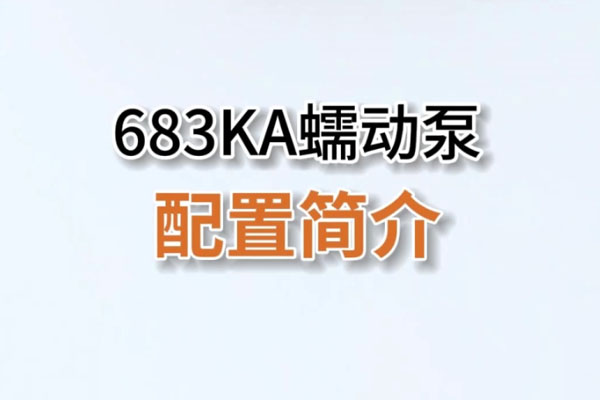 683KA蠕動(dòng)泵配置簡介